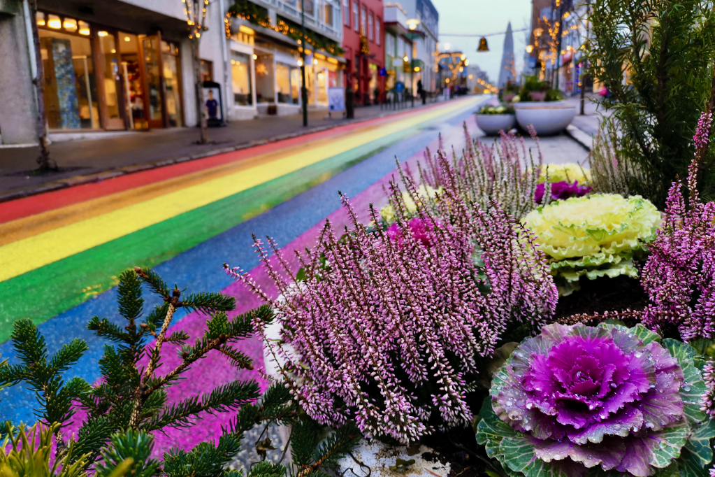 Reykjavík - Rainbow Street