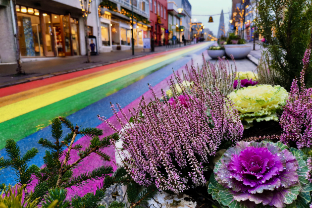 Reykjavík - Rainbow Street
